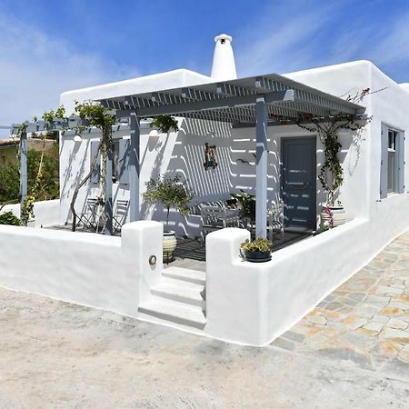 Patriko Family House Villa Alikí Kültér fotó